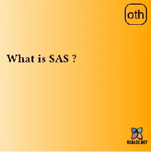 realce.net-What is SAS ? 
