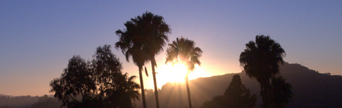 Los Angeles, California, USA - Runyon canyon